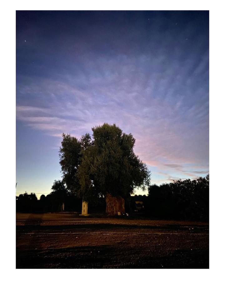 Masseria Conca D'Oro Ostuni Exterior foto