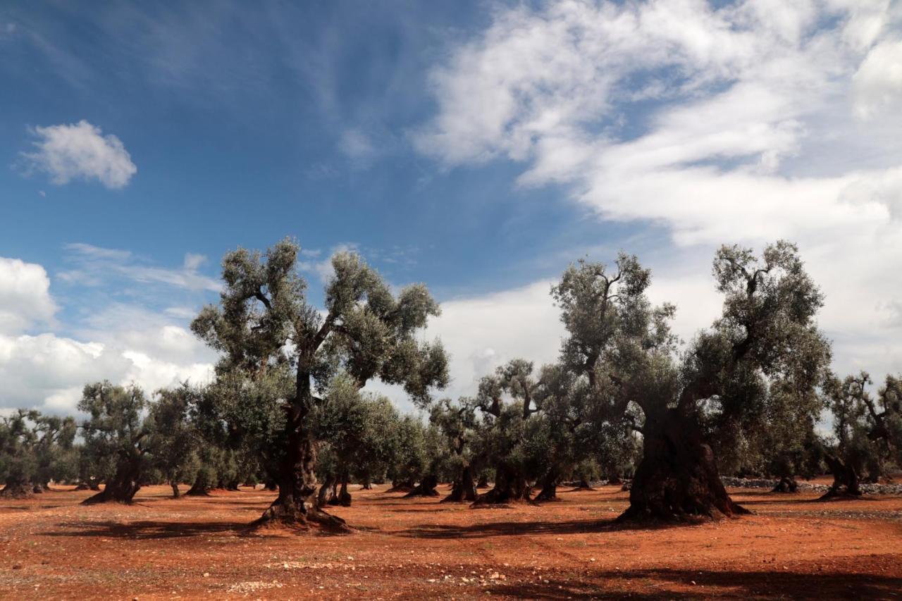 Masseria Conca D'Oro Ostuni Exterior foto