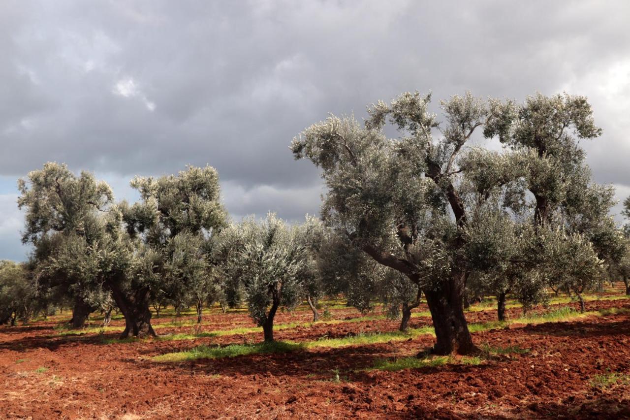 Masseria Conca D'Oro Ostuni Exterior foto