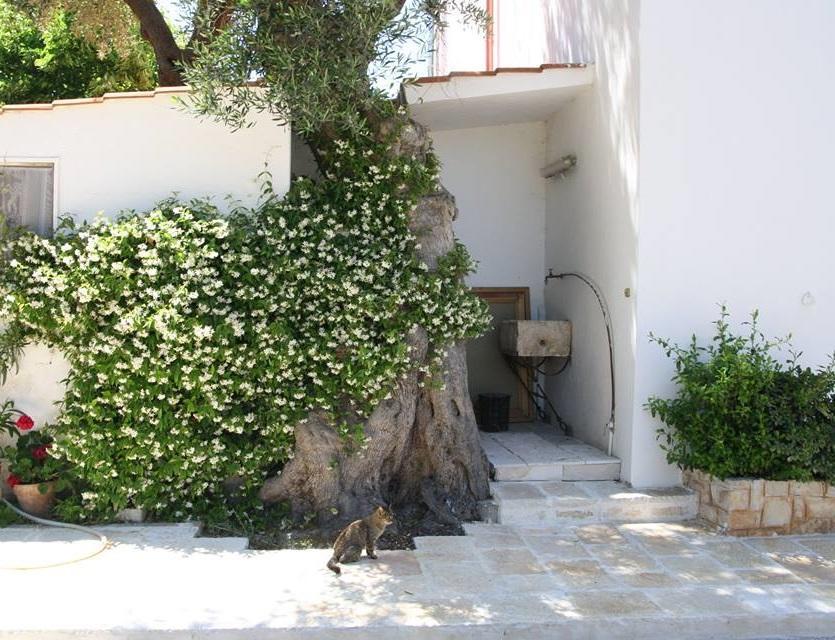 Masseria Conca D'Oro Ostuni Exterior foto